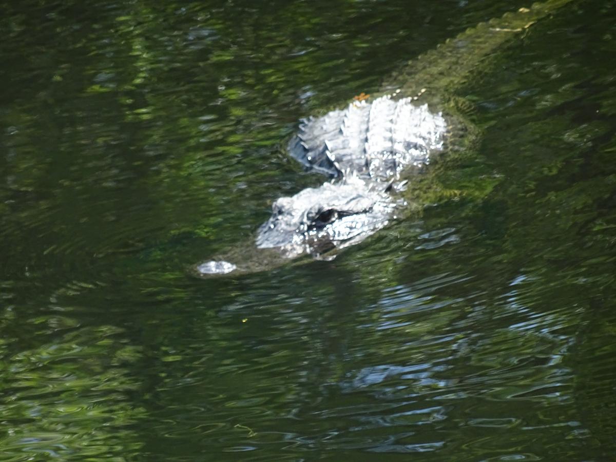 Villa Eyleen - thumb 33