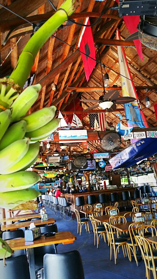 Dolphin Key Resort - Cape Coral - thumb 44