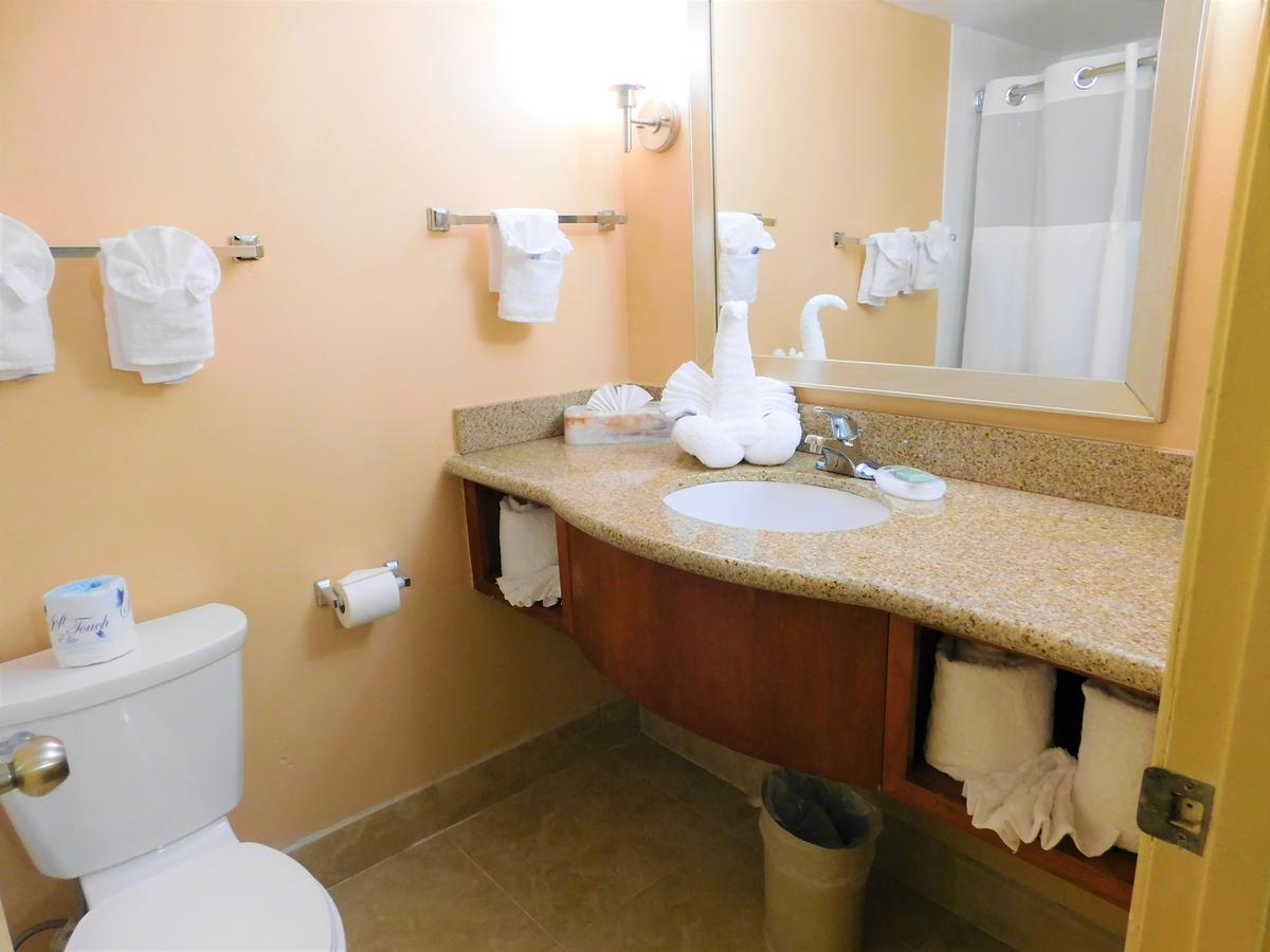 Best Western Orlando Gateway Hotel - thumb 22