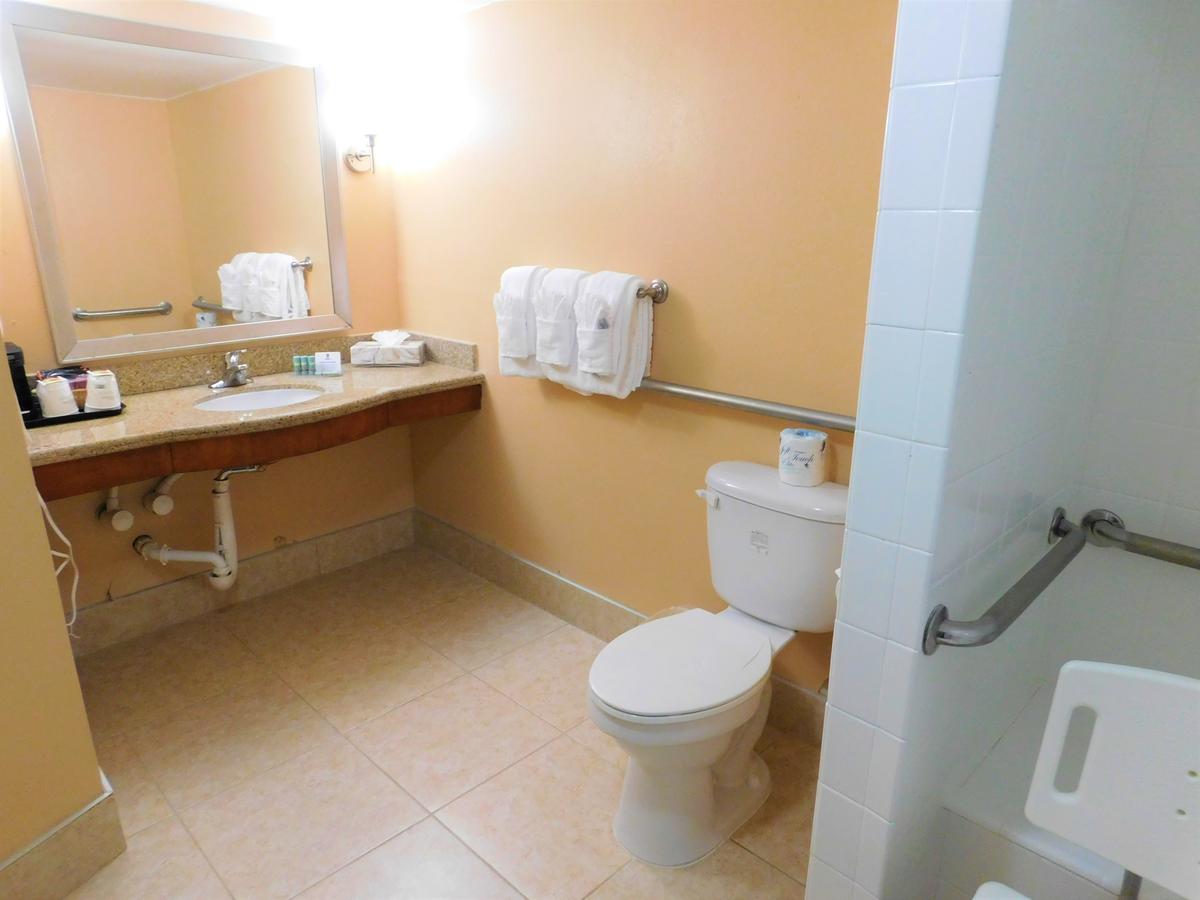 Best Western Orlando Gateway Hotel - thumb 18