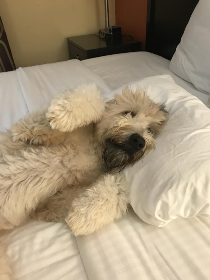 Seahorse Beach Bungalows - thumb 28