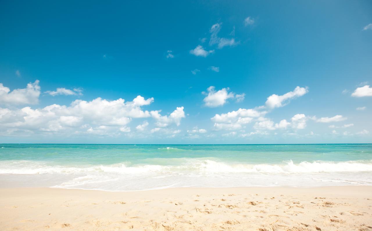 Seahorse Beach Bungalows - thumb 24