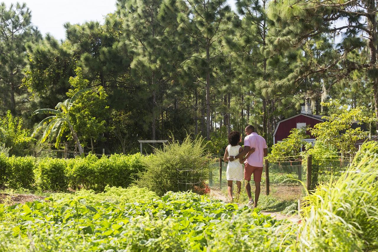 The Ritz-Carlton Orlando, Grande Lakes - thumb 26