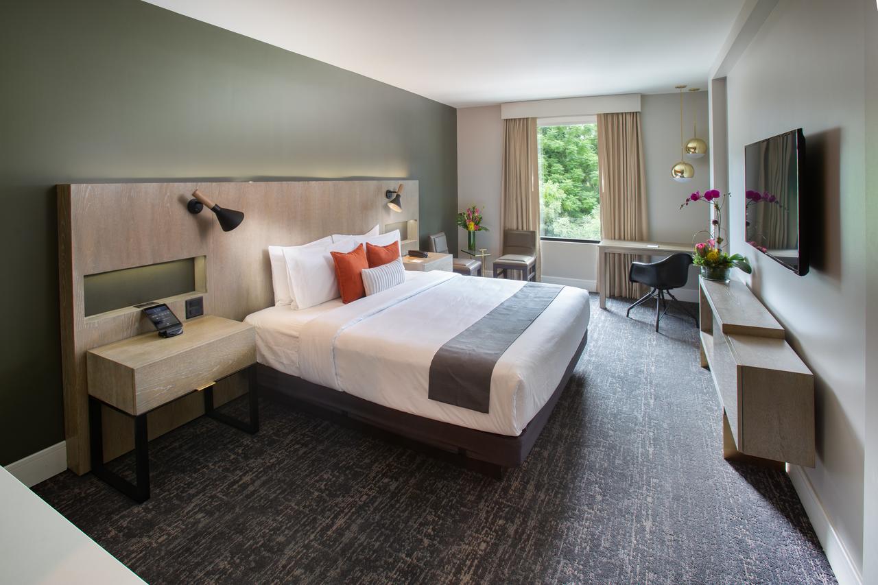 The Delaney Hotel - thumb 21