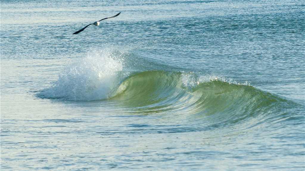 Beach House Bungalow - thumb 20