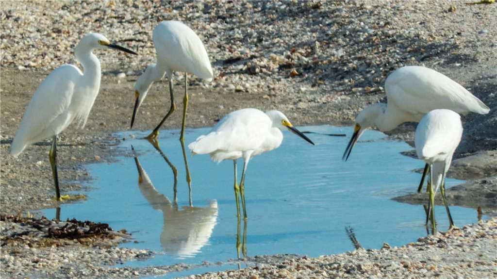 Beach House Bungalow - thumb 21