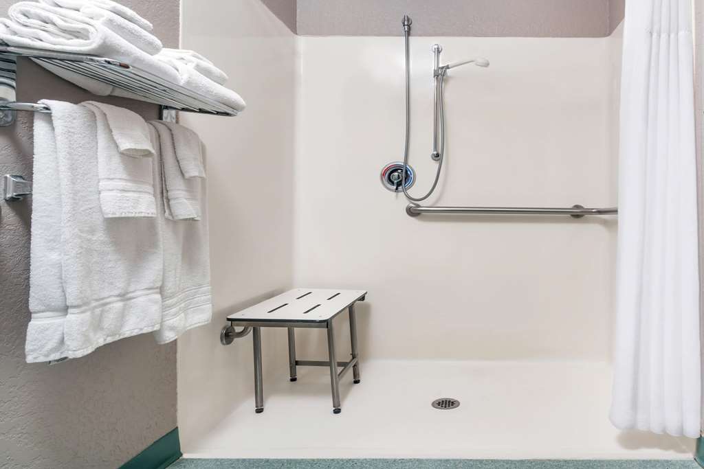 Microtel Inn & Suites By Wyndham New Ulm - thumb 5