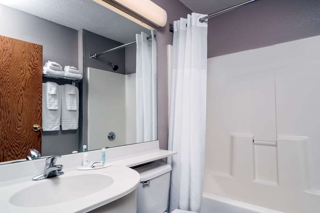 Microtel Inn & Suites By Wyndham New Ulm - thumb 10