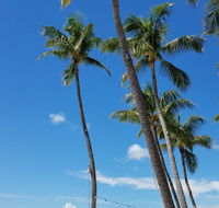 La Jolla Resort - Tourism Bookings