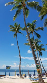 American Express Fl Tourism Bookings