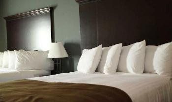 The Watford - thumb 4