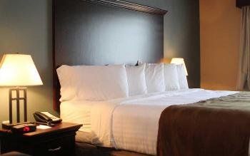 The Watford - thumb 5