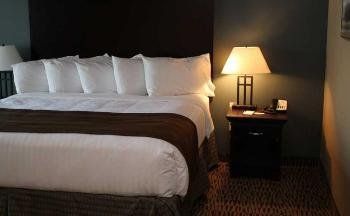 The Watford - thumb 7