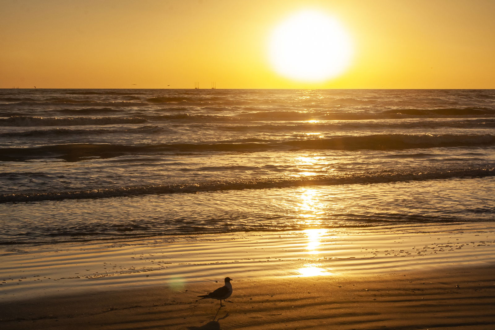 Holiday Inn Resort South Padre Island - thumb 1