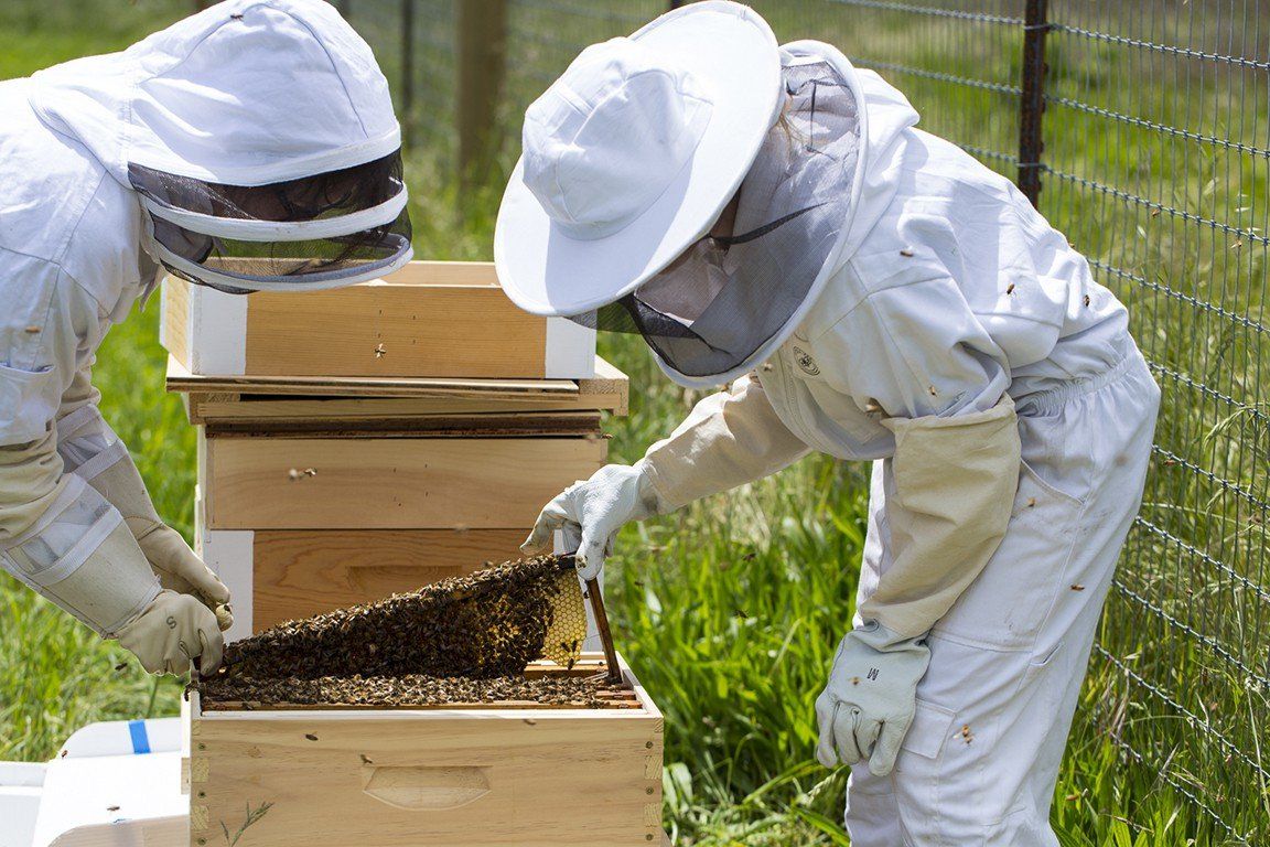 SingleThread Farm - thumb 9