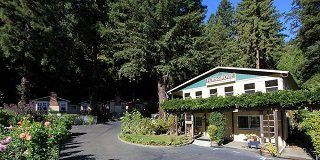 Fern Grove Cottages - thumb 0