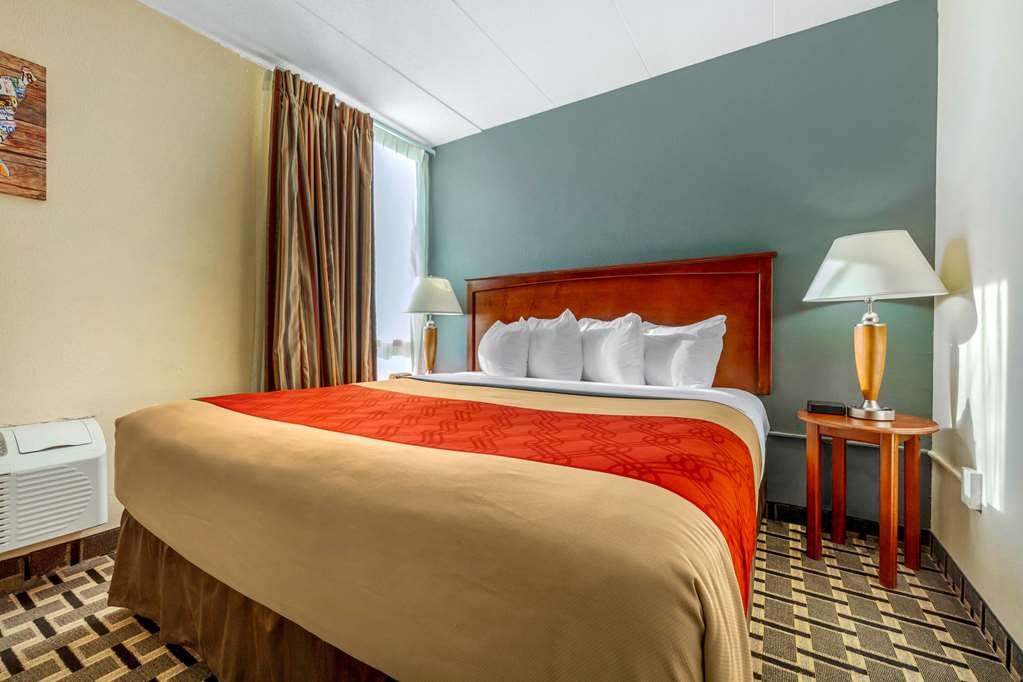 Econo Lodge Inn & Suites, Brookings - thumb 13