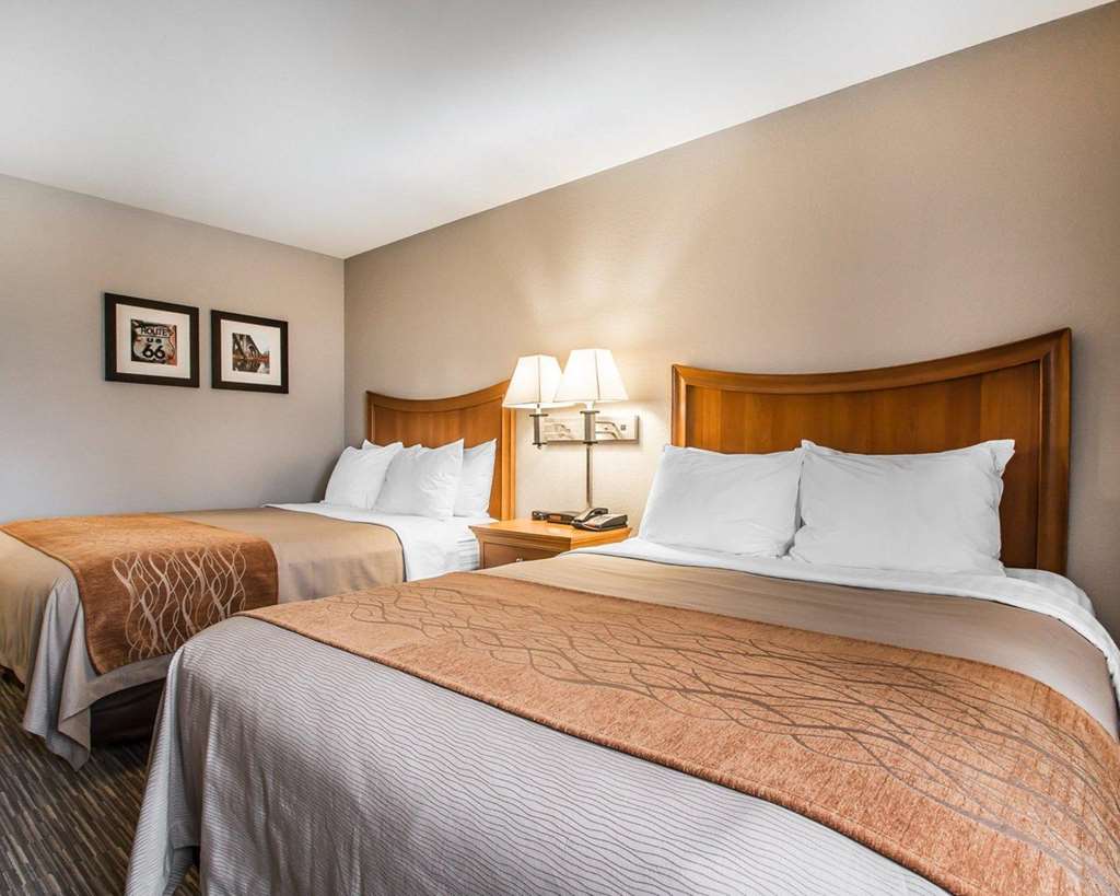 Comfort Inn South-Springfield - thumb 6