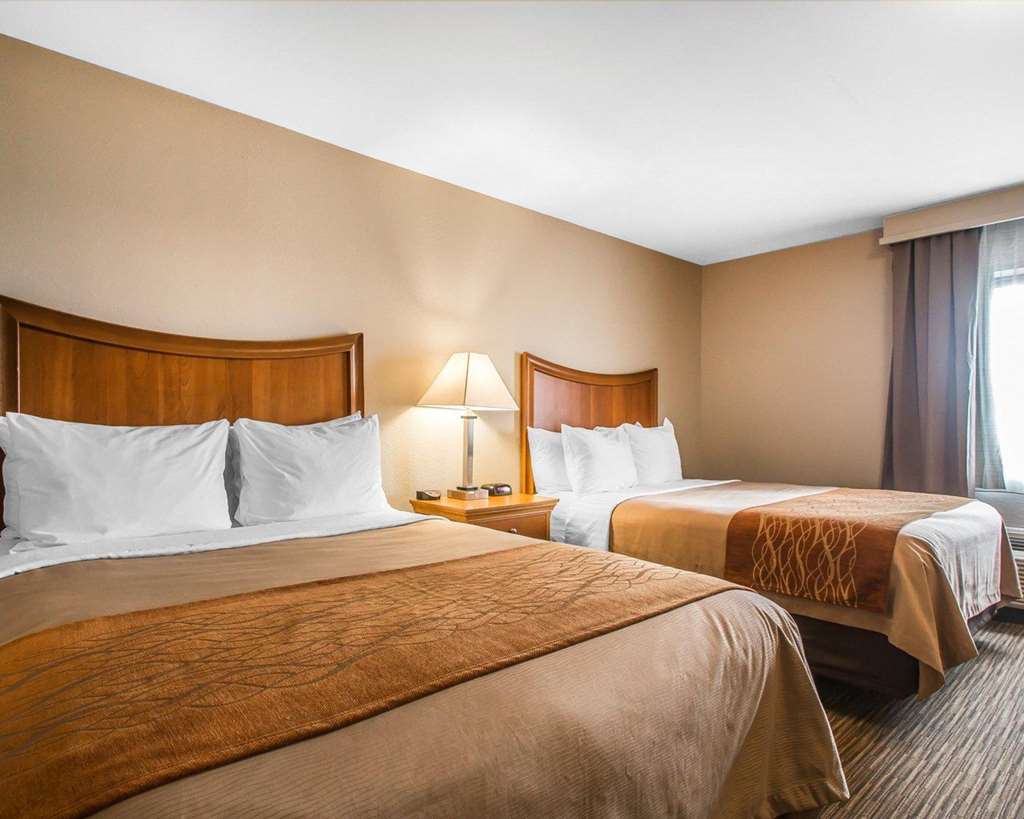 Comfort Inn South-Springfield - thumb 14