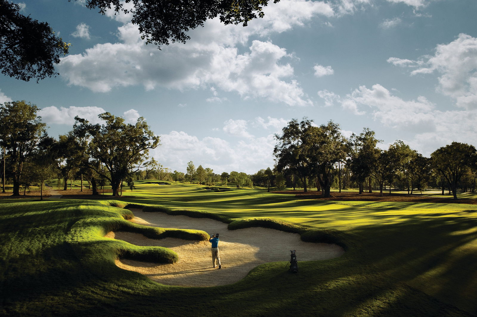 Beau Rivage Resort & Casino - thumb 17