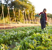 Miraval Austin - Tourism Bookings