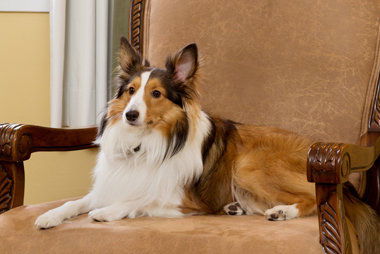 Nassau Inn - thumb 15