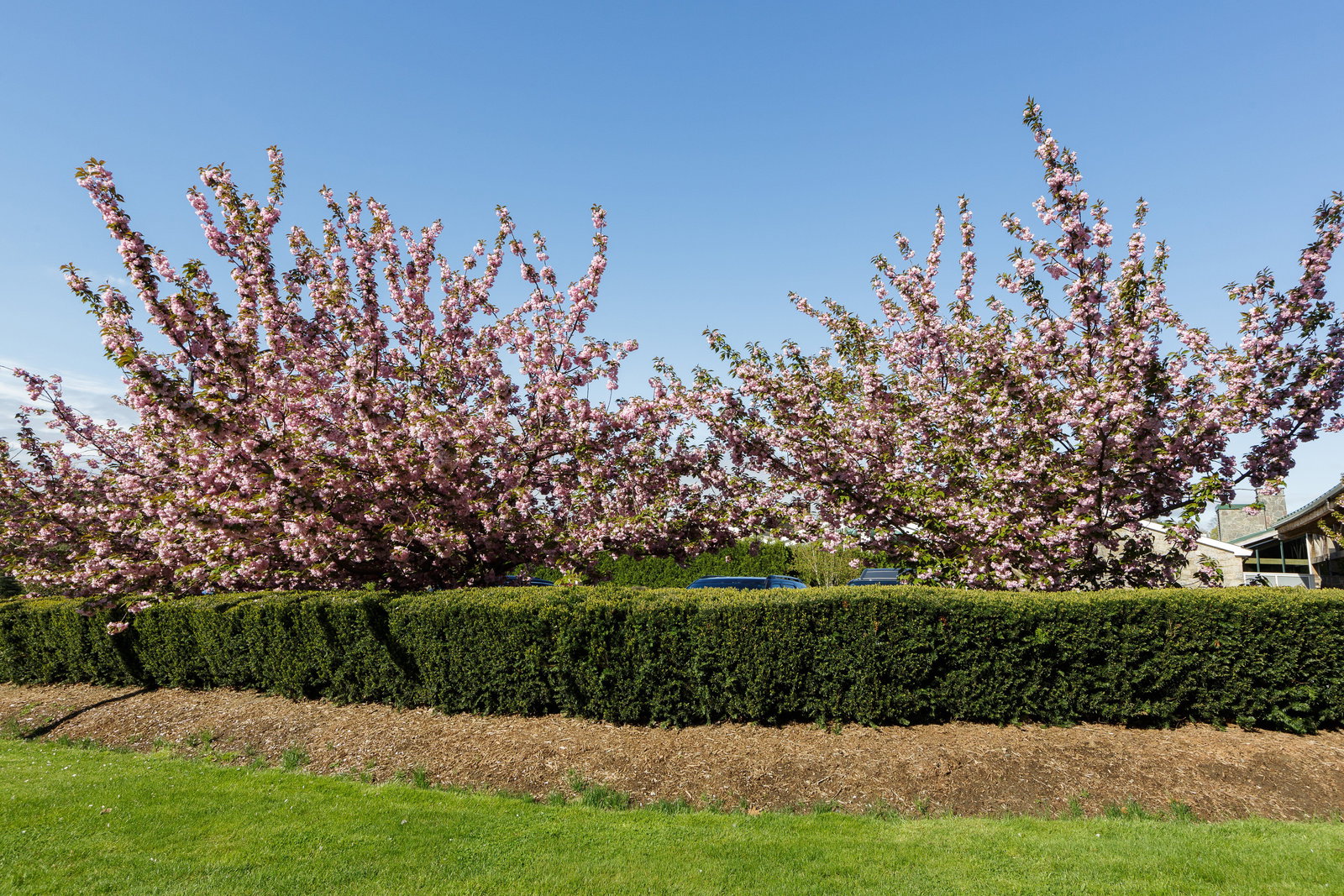 Sleepy Hollow Hotel & Conference Center - thumb 1
