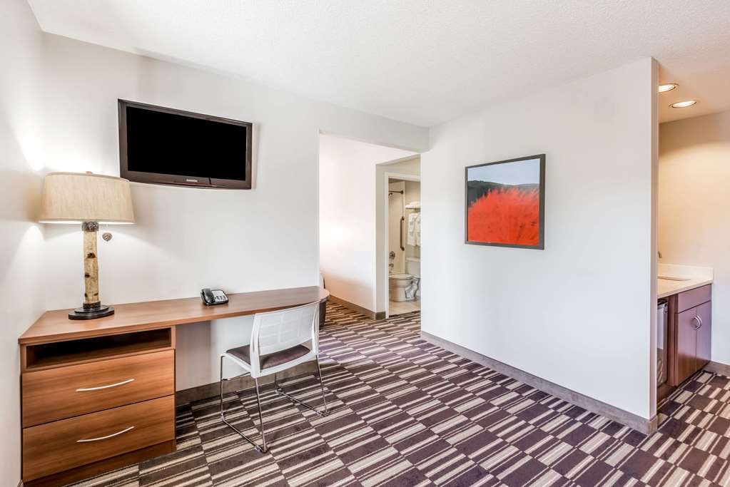 Microtel Inn & Suites Victor/Rochester - thumb 10