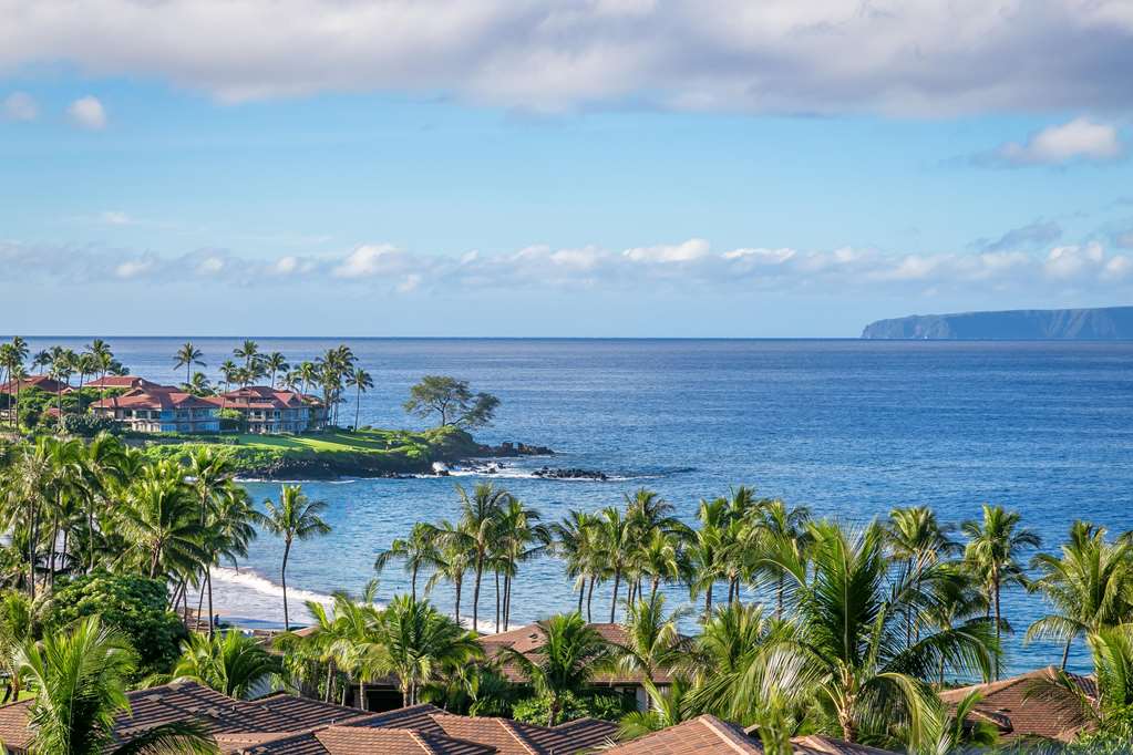Wailea Point, A Destination Residence - thumb 12