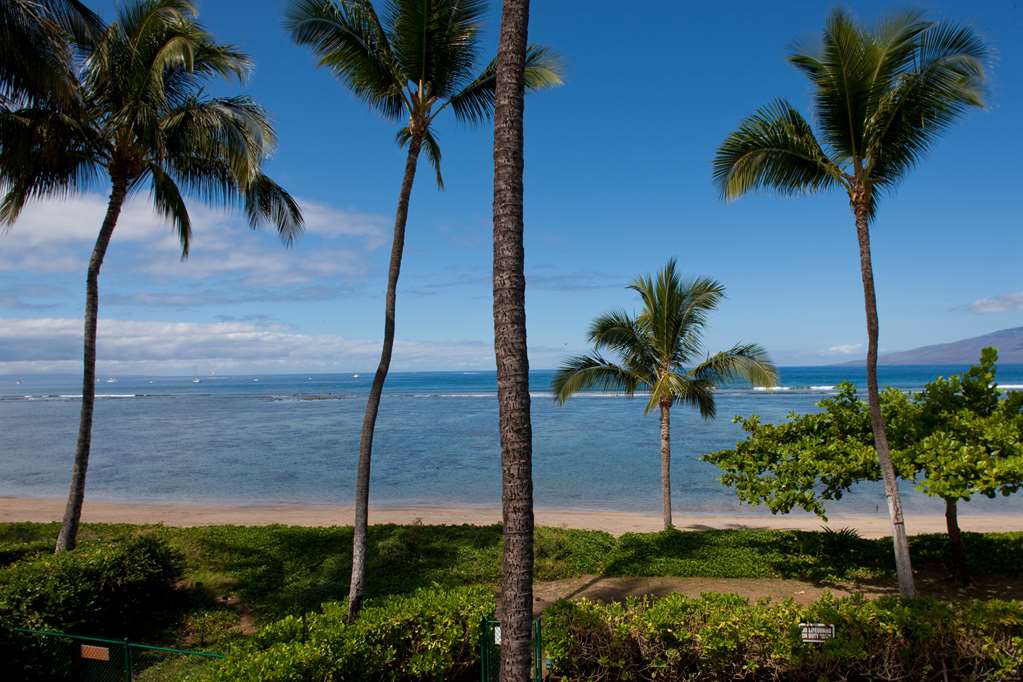 Puunoa Beach Estates - thumb 17