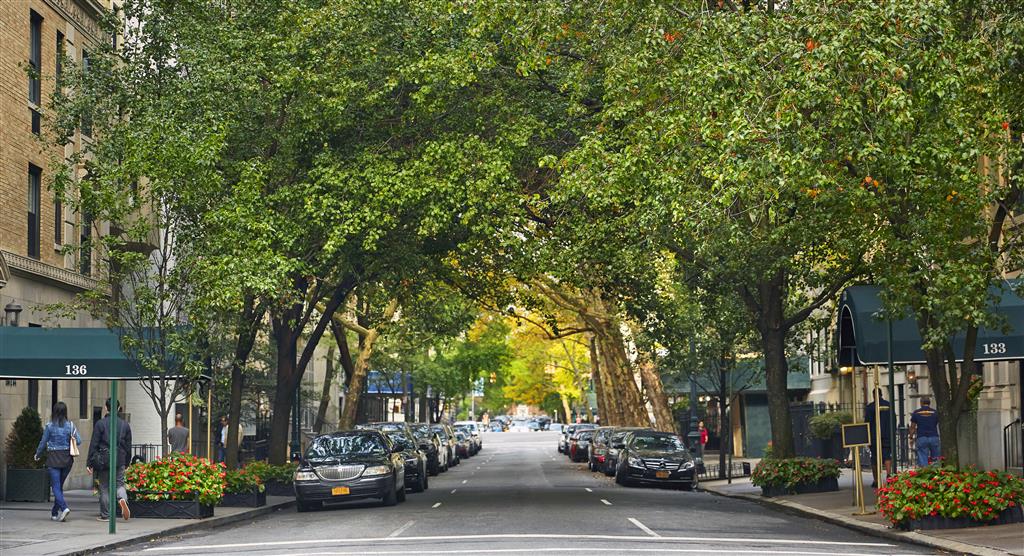 The Gardens Sonesta ES Suites New York - thumb 0