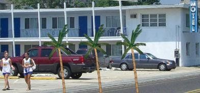 Binns Motor Inn - thumb 0