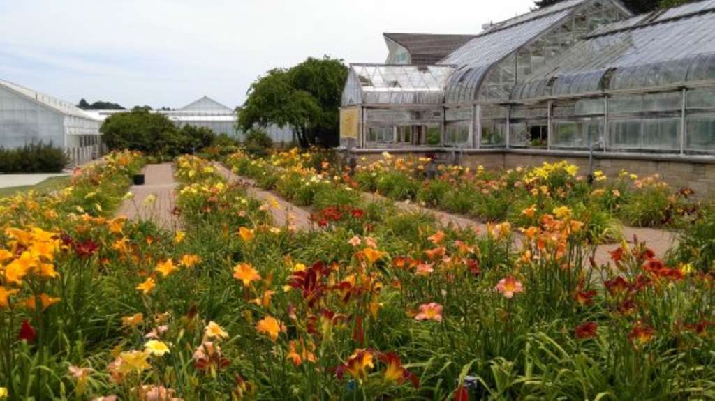 Best Western Manhattan Inn - thumb 16