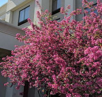 Hampton Inn  Suites Union Centre - Tourism Bookings