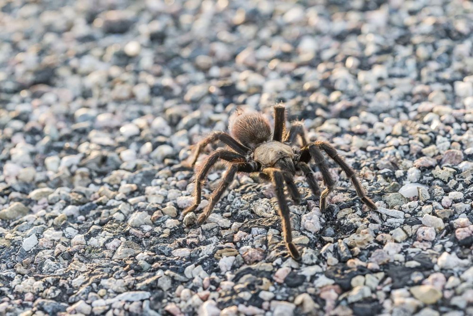 Holiday Inn Express - thumb 17