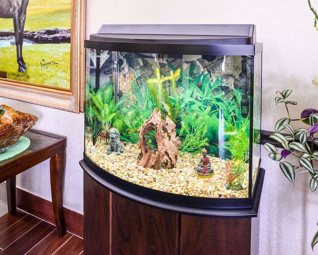 Econo Lodge Inn & Suites - thumb 17