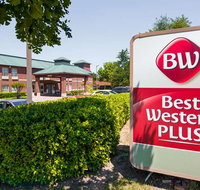 Best Western Plus Addison Galleria Hotel - Tourism Bookings