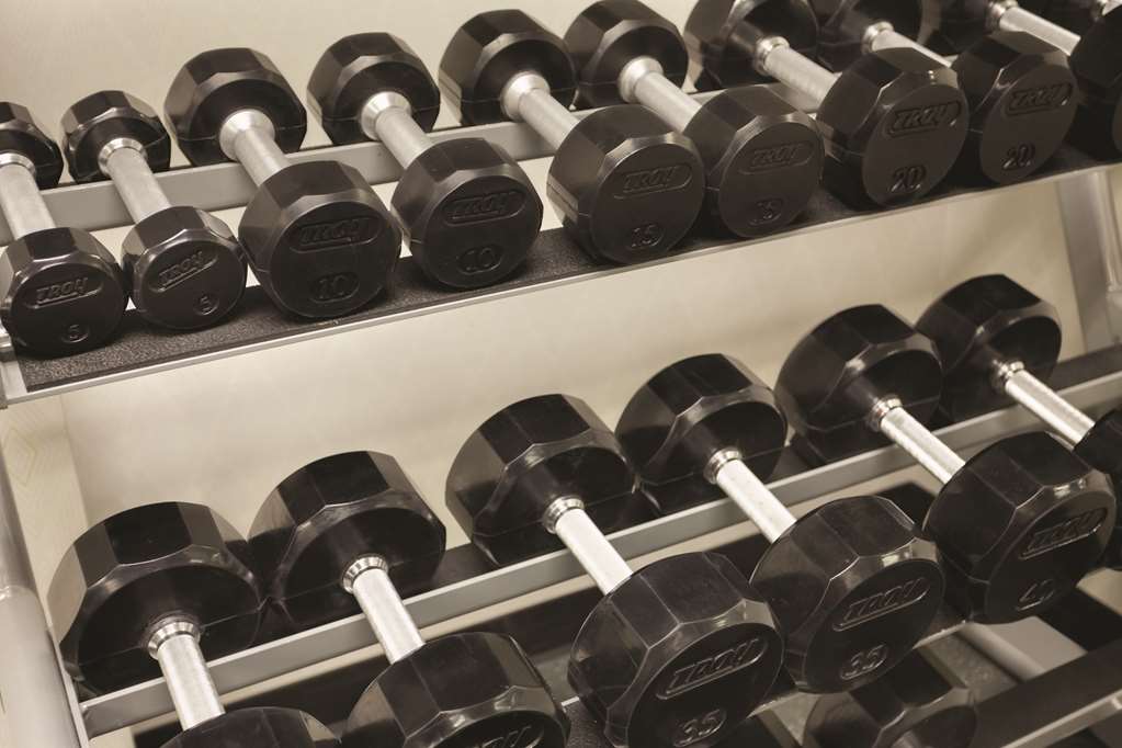 Radisson Dallas North Addison - thumb 14