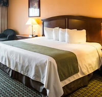 Quality Inn  Suites Amarillo - Tourism Bookings