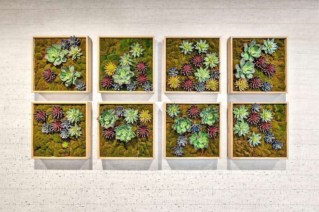 Best Western Plus Lewisville/Coppell - thumb 3