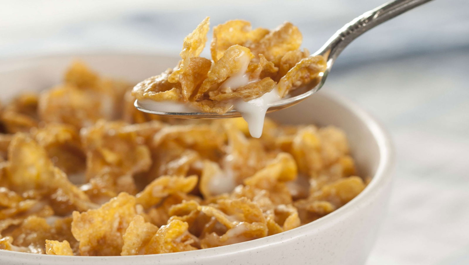 Magnuson Hotel Red Baron - thumb 9