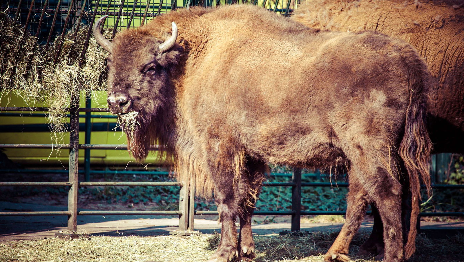 Magnuson Hotel Red Baron - thumb 15