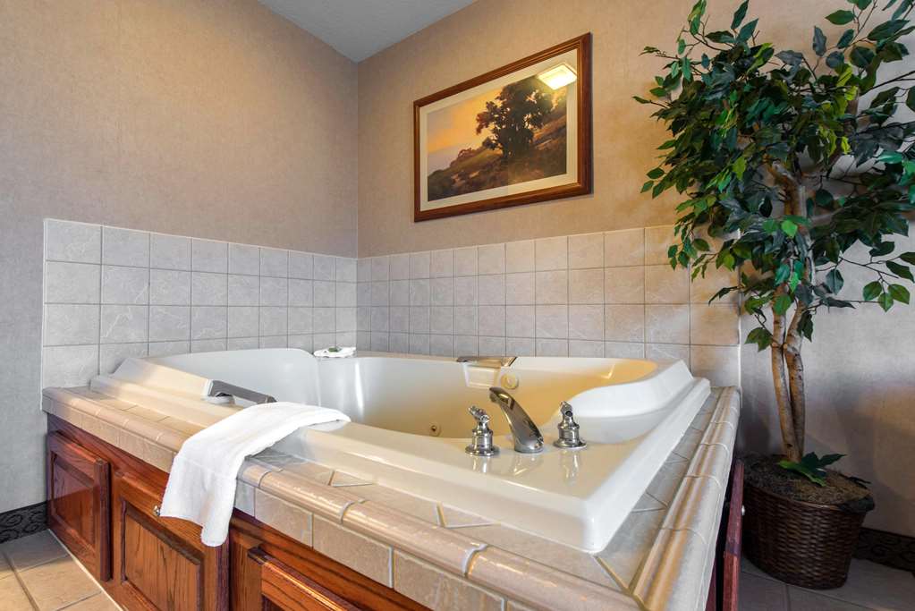 Quality Inn Hotel - thumb 14