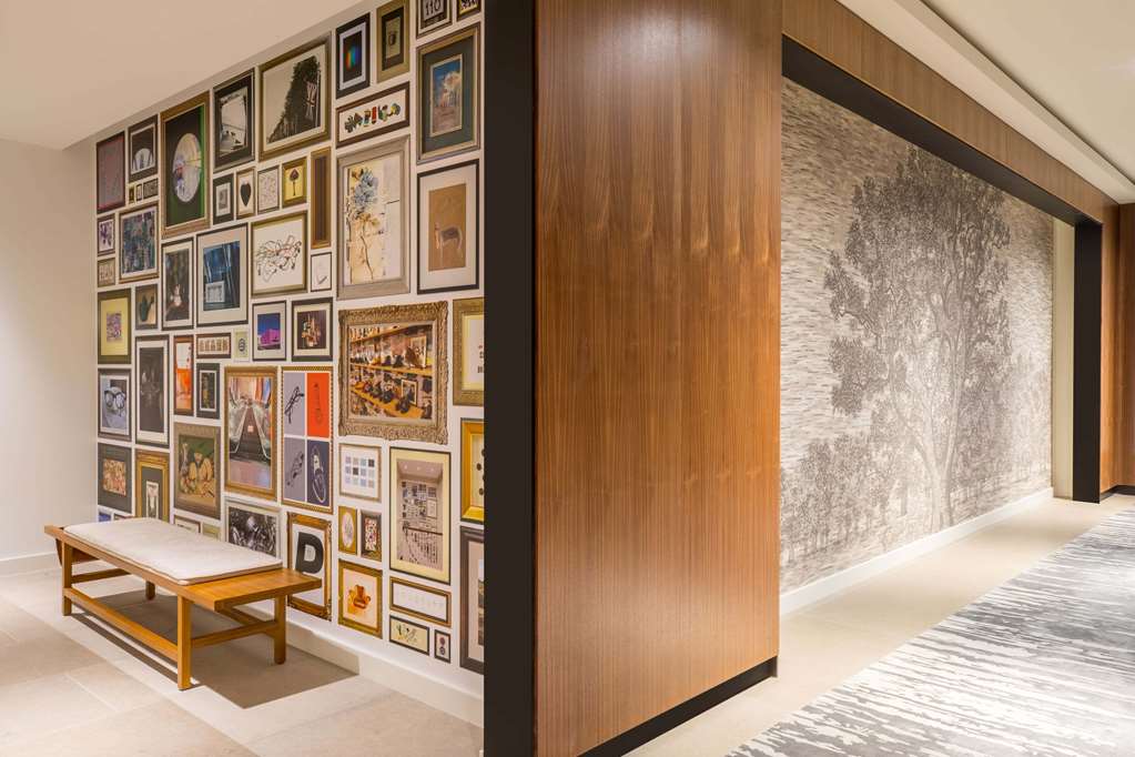 C Baldwin Curio Hilton Houston Downtown - thumb 4