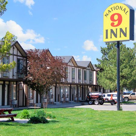 National 9 Price - thumb 0