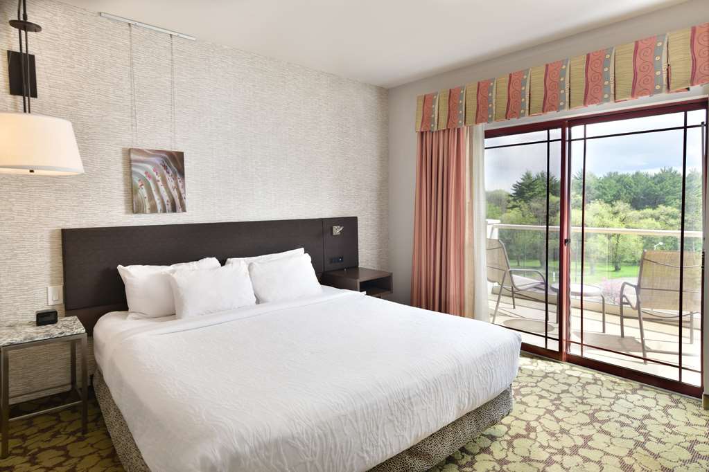 Hilton Garden Inn Wisconsin Dells - thumb 7