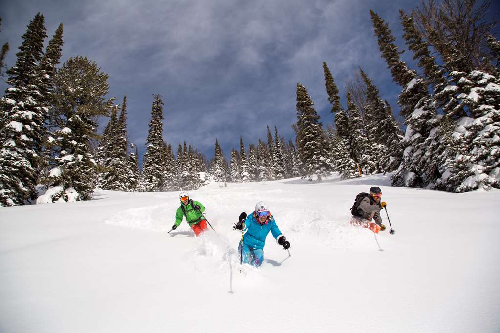 Hotel Terra Jackson Hole - thumb 15