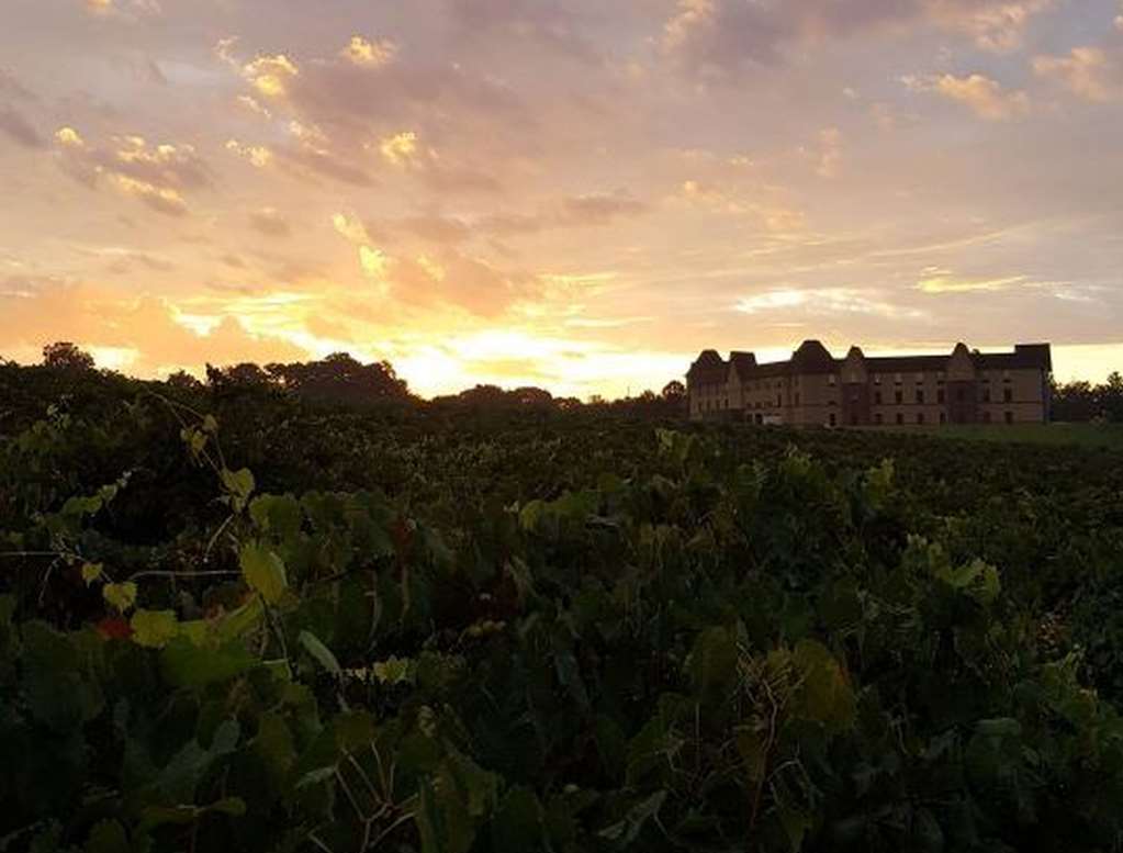 Hampton Inn & Suites Braselton - thumb 2