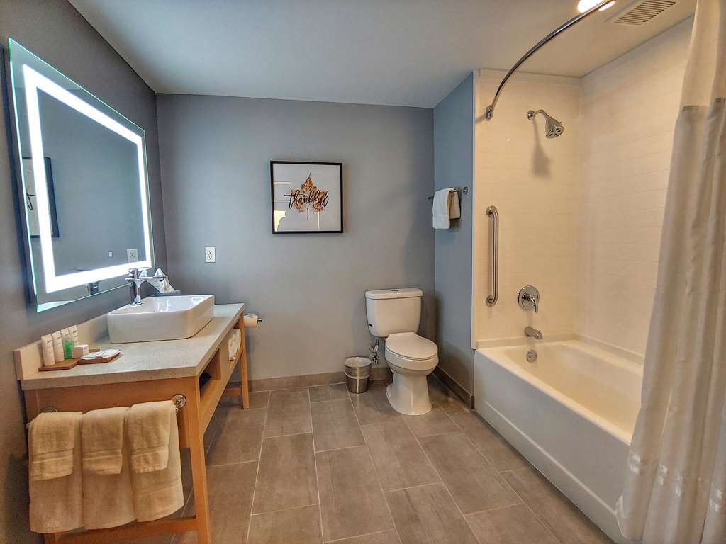 Radisson Hotel Atlanta Airport - thumb 7