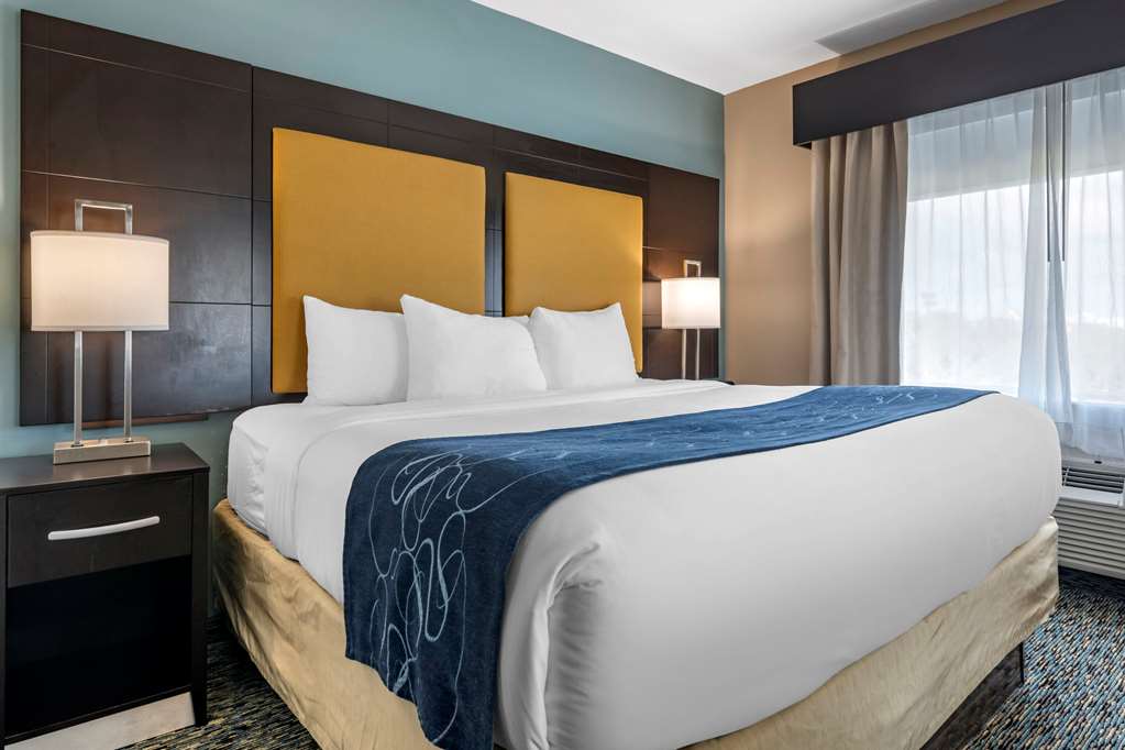 Comfort Suites Fort Lauderdale Airport S - thumb 10
